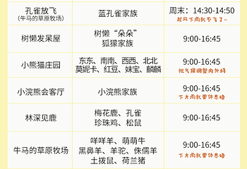 茅山森林世界第 4 张图片