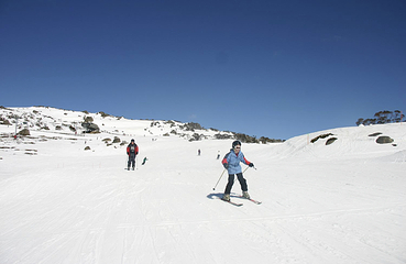 山泰生态园滑雪场第 2 张图片