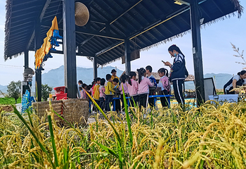 原乡农场第 26 张图片
