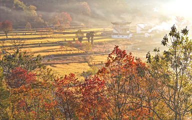 塔川第 4 张图片