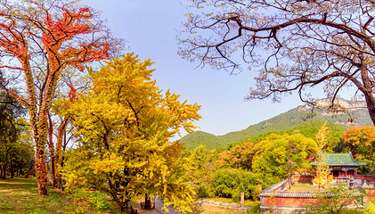 灵岩寺第 19 张图片