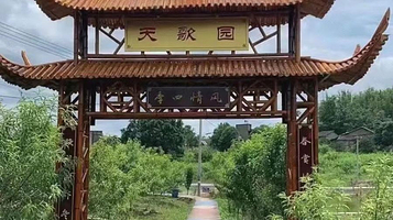 天歌园水蜜桃采摘基地