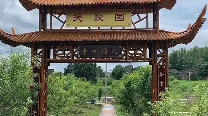 天歌园水蜜桃采摘基地第 1 张图片