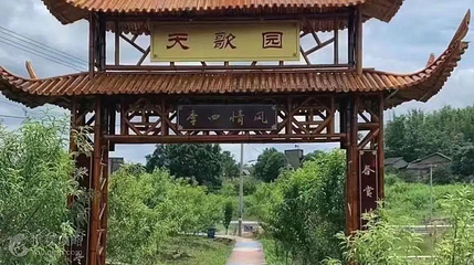 天歌园水蜜桃采摘基地第 2 张图片
