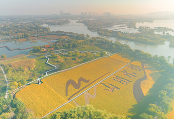 长兴太湖图影湿地文化园第 42 张图片
