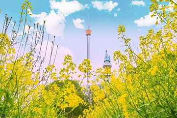 长沙世界之窗第 228 张图片