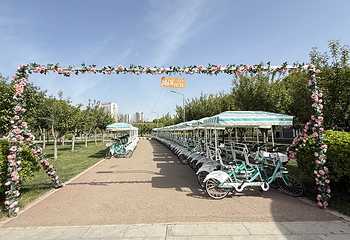 太极岛湿地乐园第 5 张图片