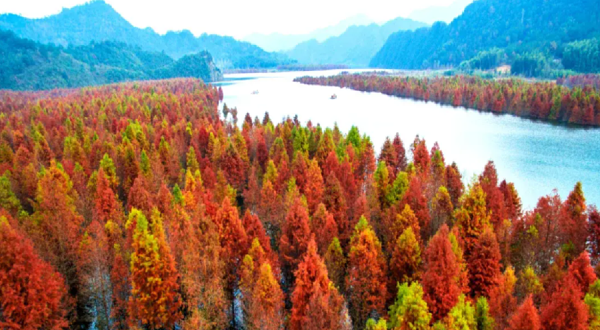 宣城飞行观光体验基地