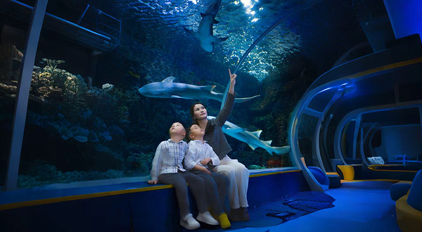 深圳观澜海洋世界