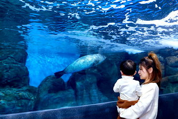 上海海洋水族馆第 39 张图片