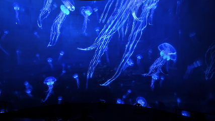 威海科幻海世界探险乐园第 32 张图片