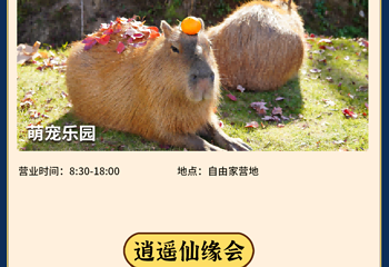 齐云山景区第 2 张图片