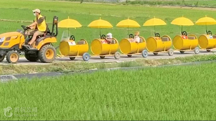 杨马稻田苍鹭湾第 3 张图片