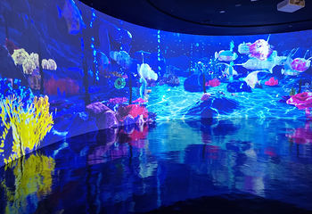 济州岛Aqua Planet水族馆第 36 张图片