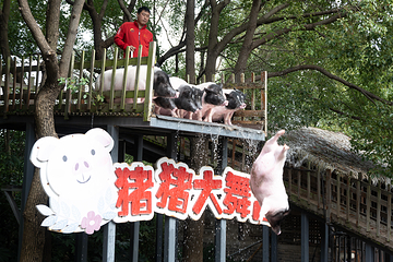 苏州江南农耕文化园第 58 张图片