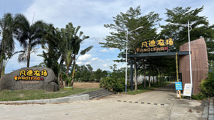 凡迪农场第 4 张图片