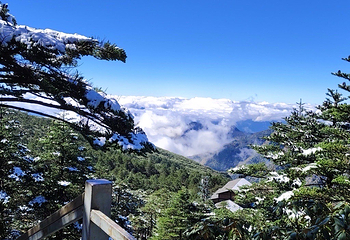 轿子雪山第 10 张图片