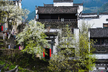 婺源篁岭景区第 96 张图片