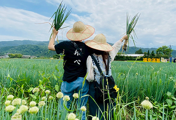 星宝葱体验农场第 19 张图片