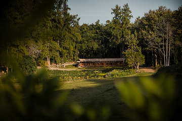 Khao Yai Art Forest第 8 张图片