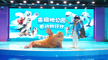 哈尔滨极地公园第 18 张图片