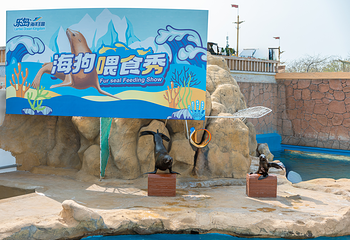 乐岛海洋王国第 8 张图片