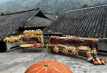 彭家寨旅游景区第 21 张图片