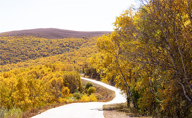 云中草原第 16 张图片
