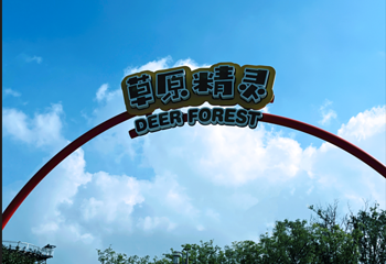 森灵欢乐世界第 47 张图片