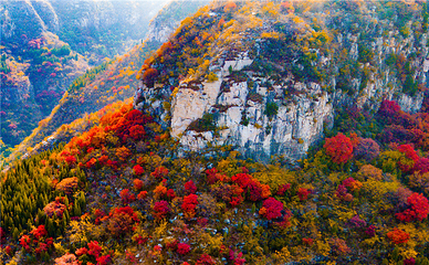 青铜山大峡谷第 179 张图片