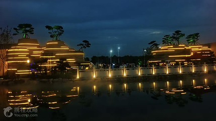 太行盆景园第 3 张图片