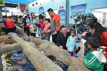 爱伦湾海洋牧场第 39 张图片