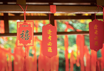 龙坞仙境第 51 张图片