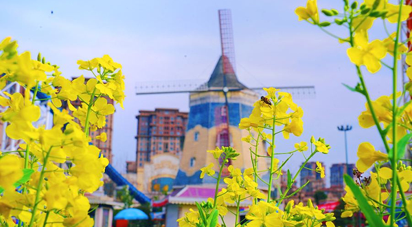 国色天乡花花世界