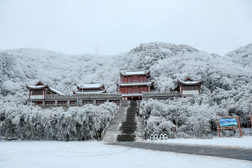 金佛山第 58 张图片