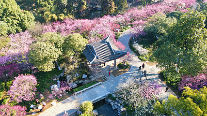 超山风景名胜区第 5 张图片