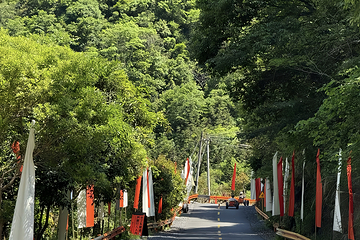 江南独库公路(山野之谷)第 13 张图片