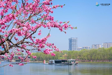 北京(通州)大运河文化旅游景区第 20 张图片