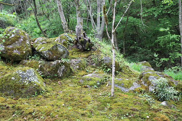 苍龙峡风景区第 18 张图片