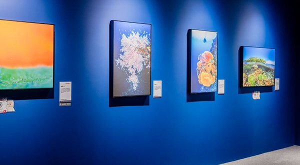 「海南首展」中国国家地理·探索 极致发现科学艺术影像展