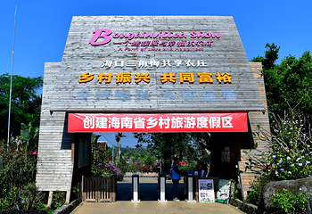 海口三角梅花展第 4 张图片