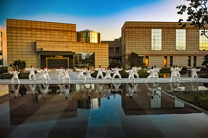 东阿中医药文化旅游区-阿胶世界