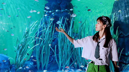 上海海洋水族馆第 36 张图片