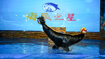金昌海辰海洋乐园第 2 张图片