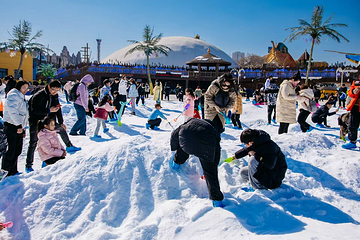 侏罗纪雪世界第 9 张图片