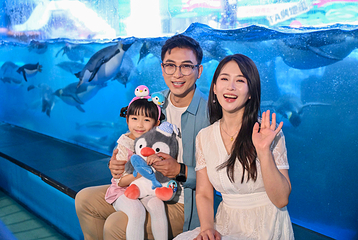 老虎滩海洋公园第 17 张图片