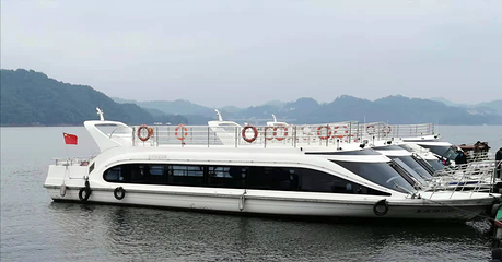 千岛湖钓鱼岛第 36 张图片