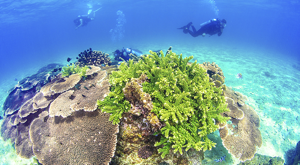 海底天宫探奇潜水