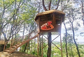 甜城松鼠林乐园第 3 张图片