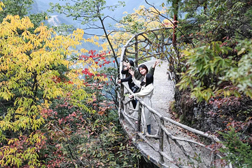 巴山大峡谷第 85 张图片